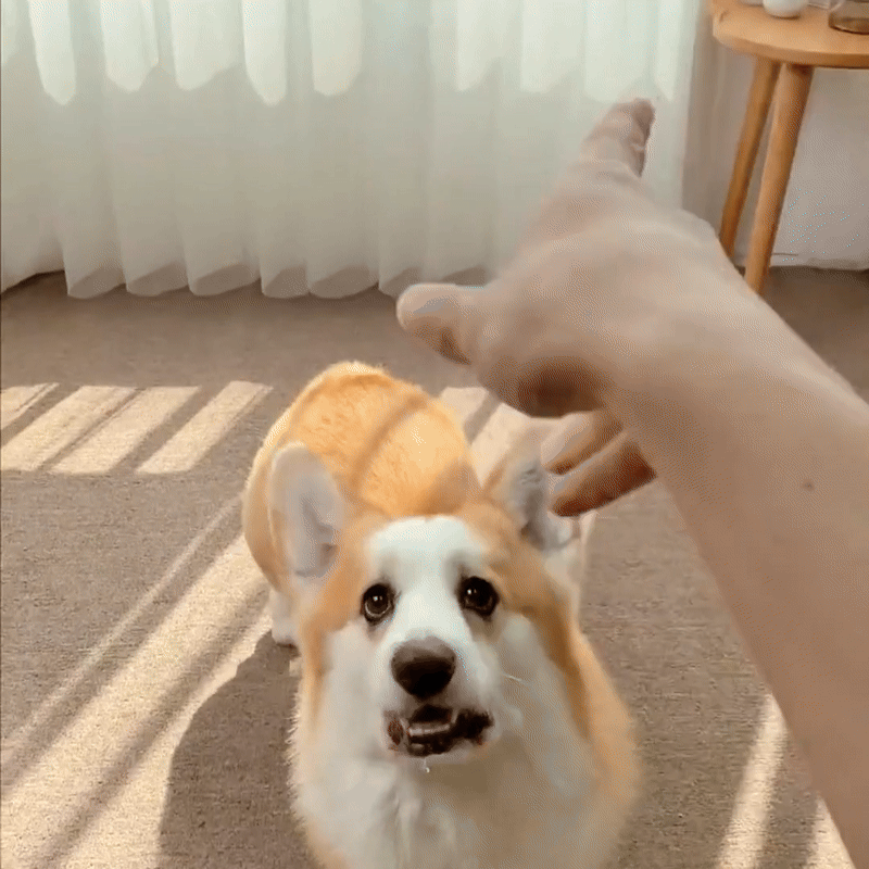 SnapTik_App_7373975816197131526-HD-ezgif.com-video-to-gif-converter (1).gif__PID:3e4ec09c-dc53-4e82-b65b-4f3ee0b6f9e8